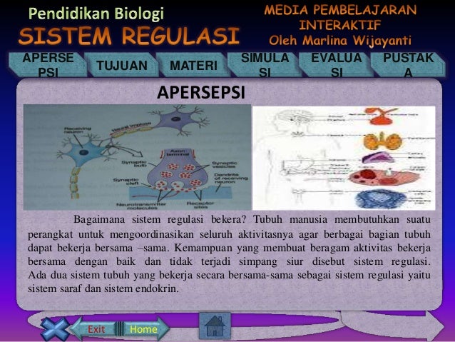 Detail Gambar Sistem Regulasi Nomer 28