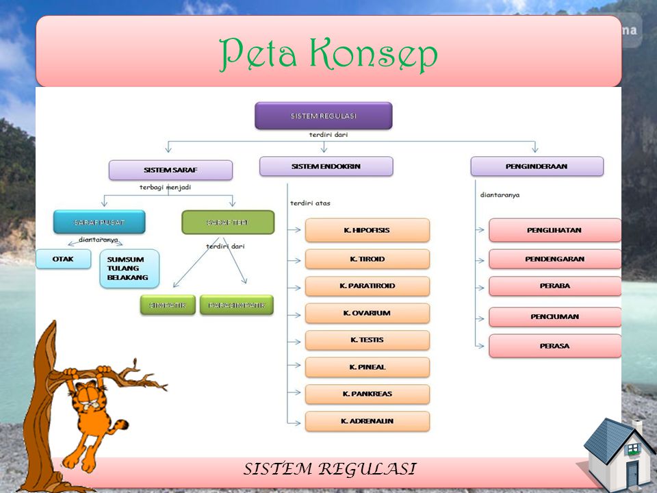 Detail Gambar Sistem Regulasi Nomer 29