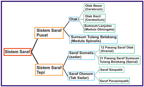 Detail Gambar Sistem Regulasi Nomer 31