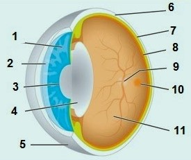 Detail Gambar Sistem Regulasi Nomer 34