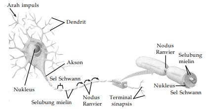 Detail Gambar Sistem Regulasi Nomer 42