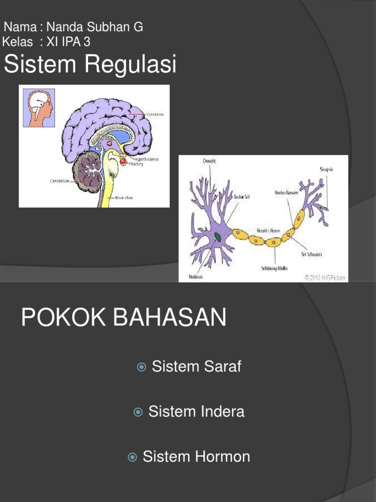 Detail Gambar Sistem Regulasi Nomer 46