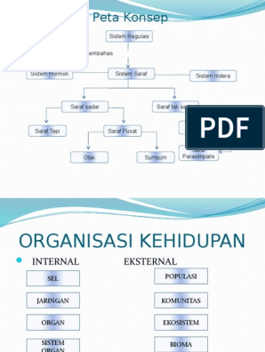 Detail Gambar Sistem Regulasi Nomer 49