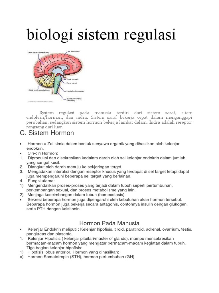 Detail Gambar Sistem Regulasi Nomer 50