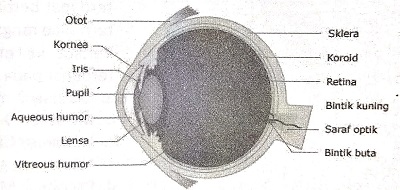 Detail Gambar Sistem Regulasi Nomer 7