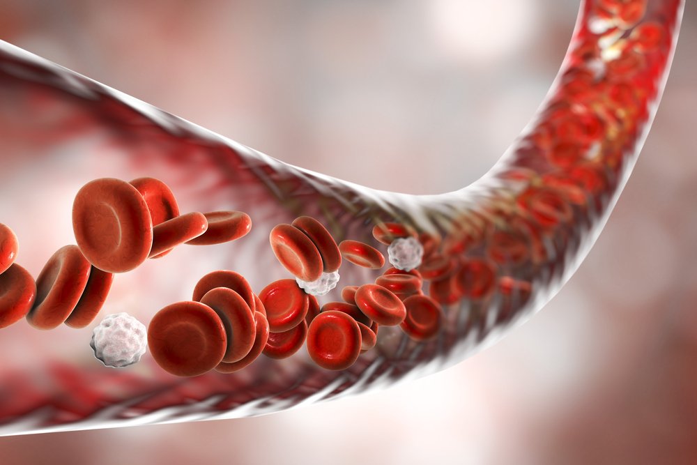 Detail Gambar Sistem Sirkulasi Darah Nomer 21