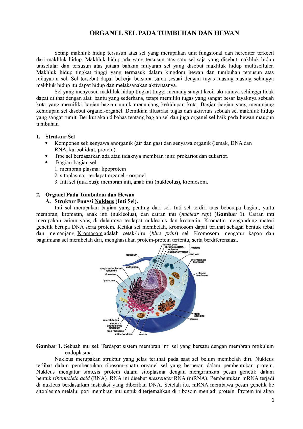 Detail Gambar Sitoplasma Sel Tumbuhan Dan Hewan Nomer 48