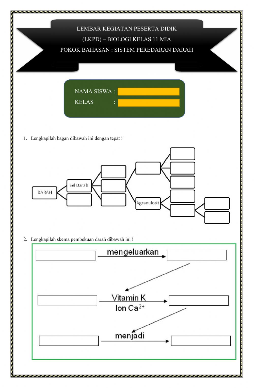 Detail Gambar Skema Pembekuan Darah Nomer 29