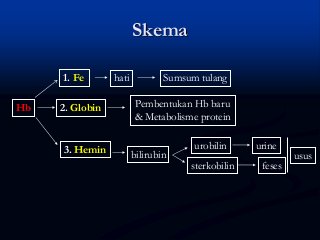 Detail Gambar Skema Proses Ekskresi Pada Organ Hati Nomer 20