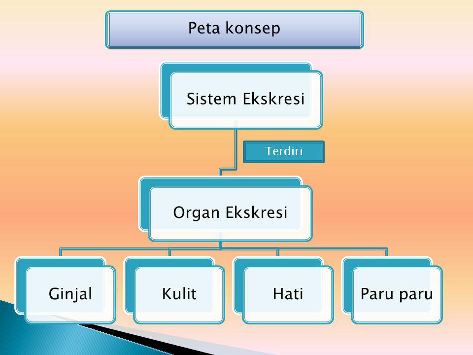 Detail Gambar Skema Proses Ekskresi Pada Organ Hati Nomer 31