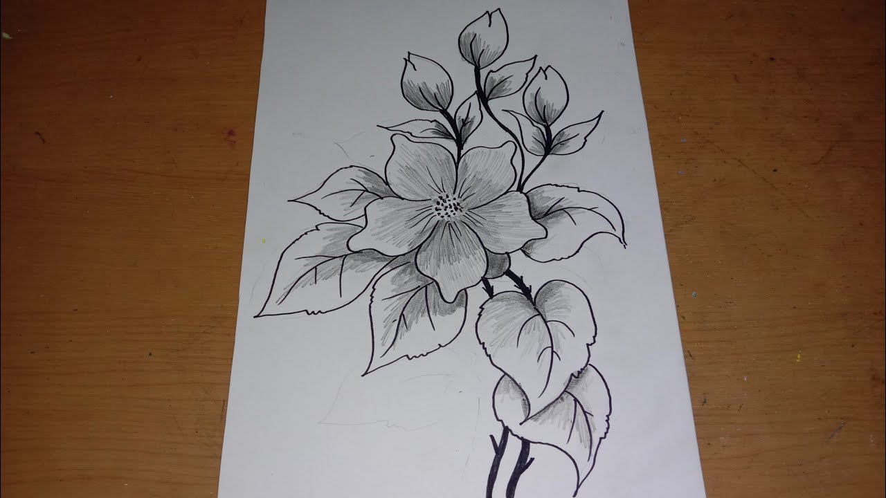 Detail Gambar Sketc Bunga Nomer 30
