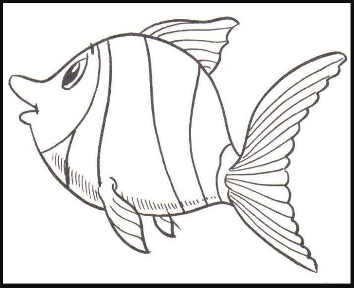 Detail Gambar Sketsa Aquarium Nomer 30