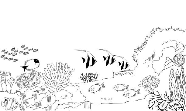 Detail Gambar Sketsa Aquarium Nomer 44