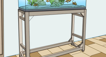 Detail Gambar Sketsa Aquarium Nomer 52
