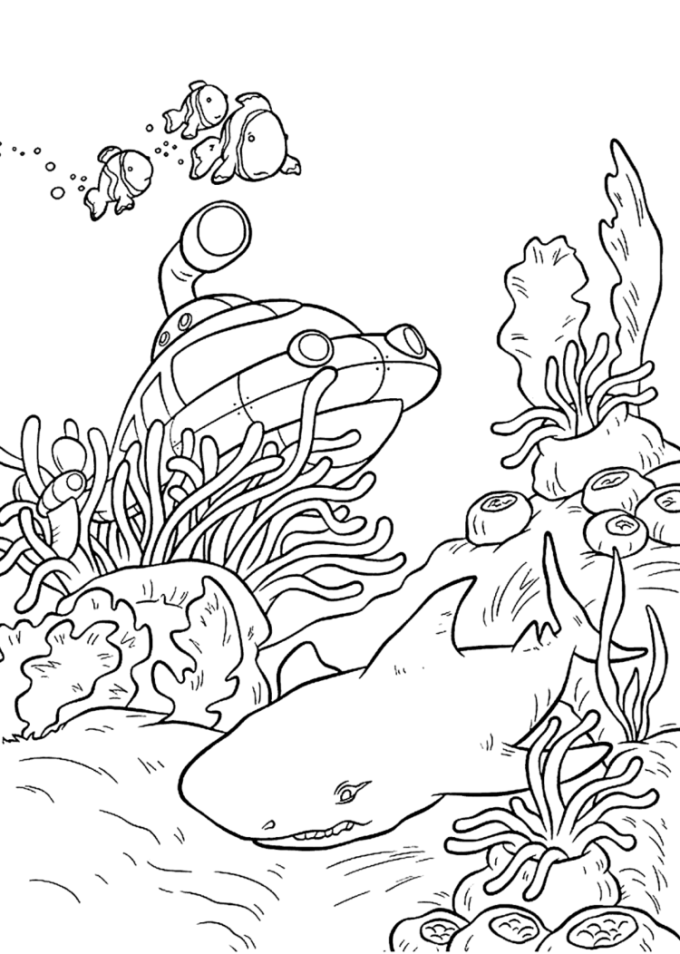 Detail Gambar Sketsa Batu Karang Pinggir Laut Nomer 6