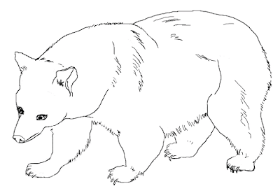 Detail Gambar Sketsa Beruang Nomer 43