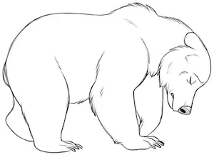 Detail Gambar Sketsa Beruang Nomer 47