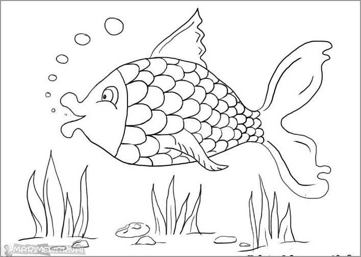 Detail Gambar Sketsa Binatang Ikan Nomer 12