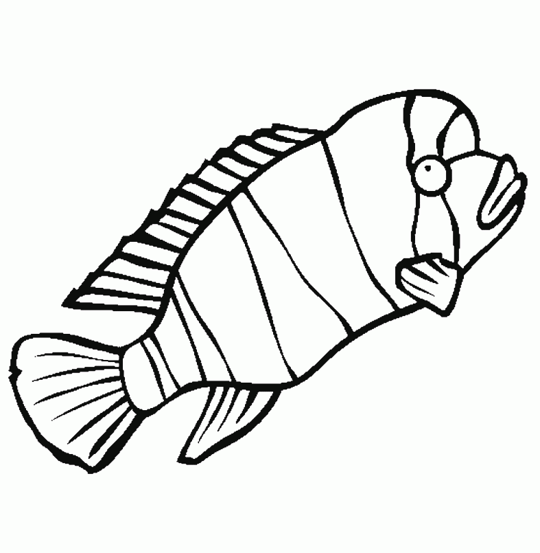 Detail Gambar Sketsa Binatang Ikan Nomer 16