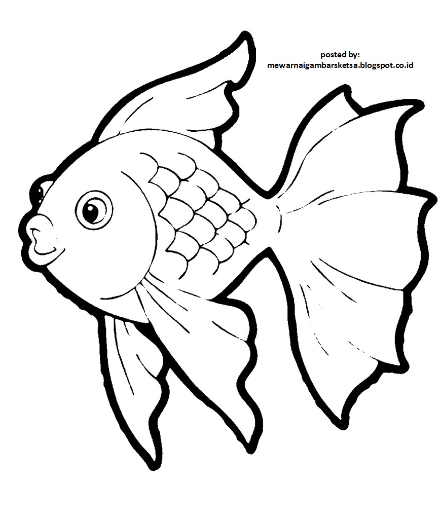 Detail Gambar Sketsa Binatang Ikan Nomer 3