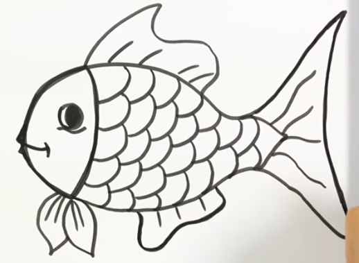 Detail Gambar Sketsa Binatang Ikan Nomer 29