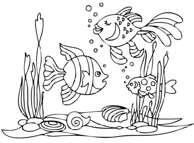 Detail Gambar Sketsa Binatang Ikan Nomer 34