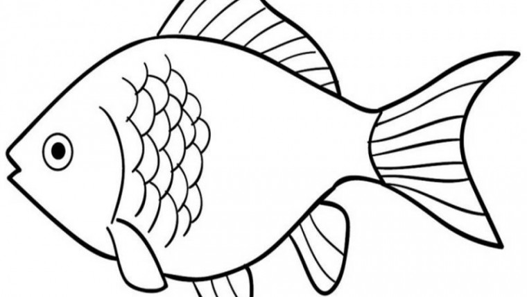 Detail Gambar Sketsa Binatang Ikan Nomer 45