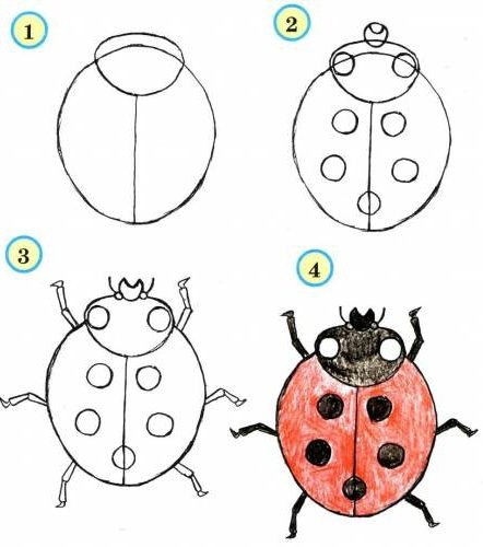 Detail Gambar Sketsa Binatang Lebah Nomer 29