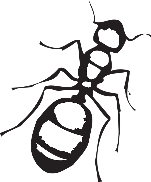 Detail Gambar Sketsa Binatang Lebah Nomer 47