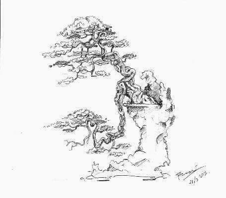 Detail Gambar Sketsa Bonsai Nomer 32