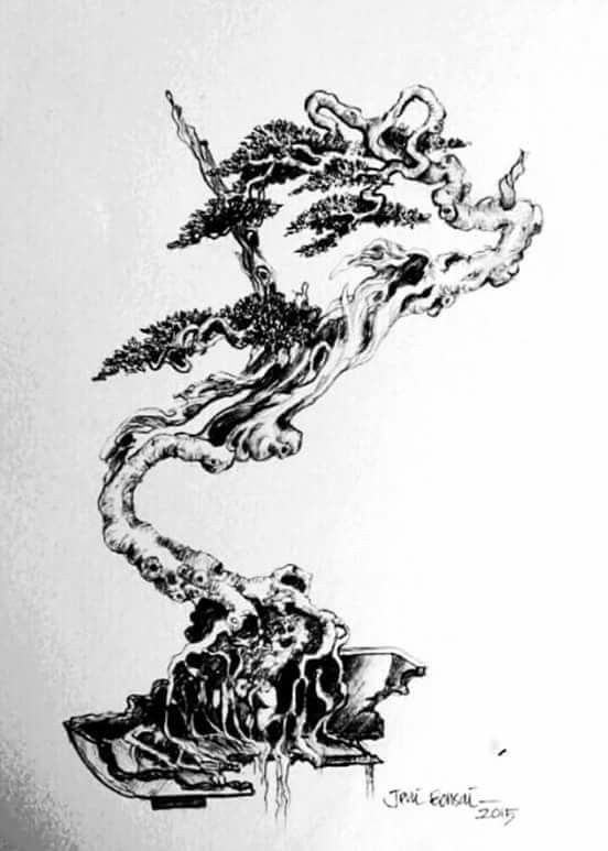Detail Gambar Sketsa Bonsai Nomer 52
