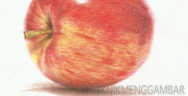 Detail Gambar Sketsa Buah Apel Nomer 25