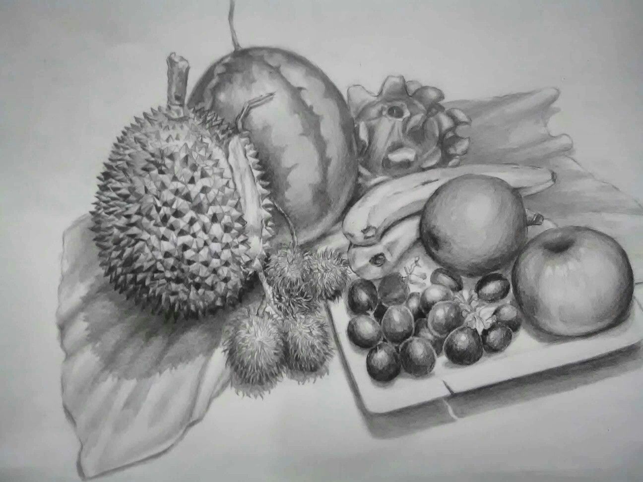 Detail Gambar Sketsa Buah Buahan Nomer 40