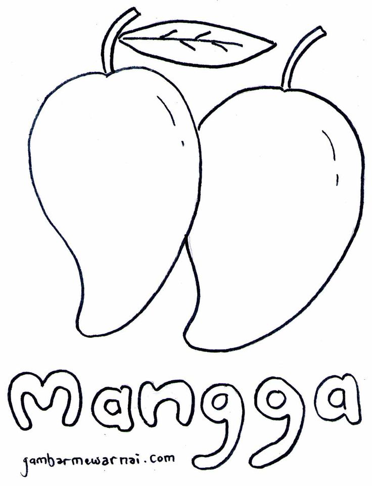 Detail Gambar Sketsa Buah Mangga Nomer 12