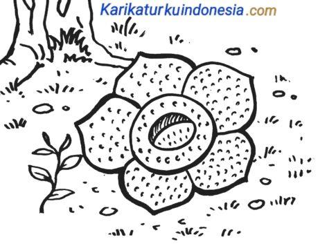 Detail Gambar Sketsa Bunga Bangkai Nomer 22