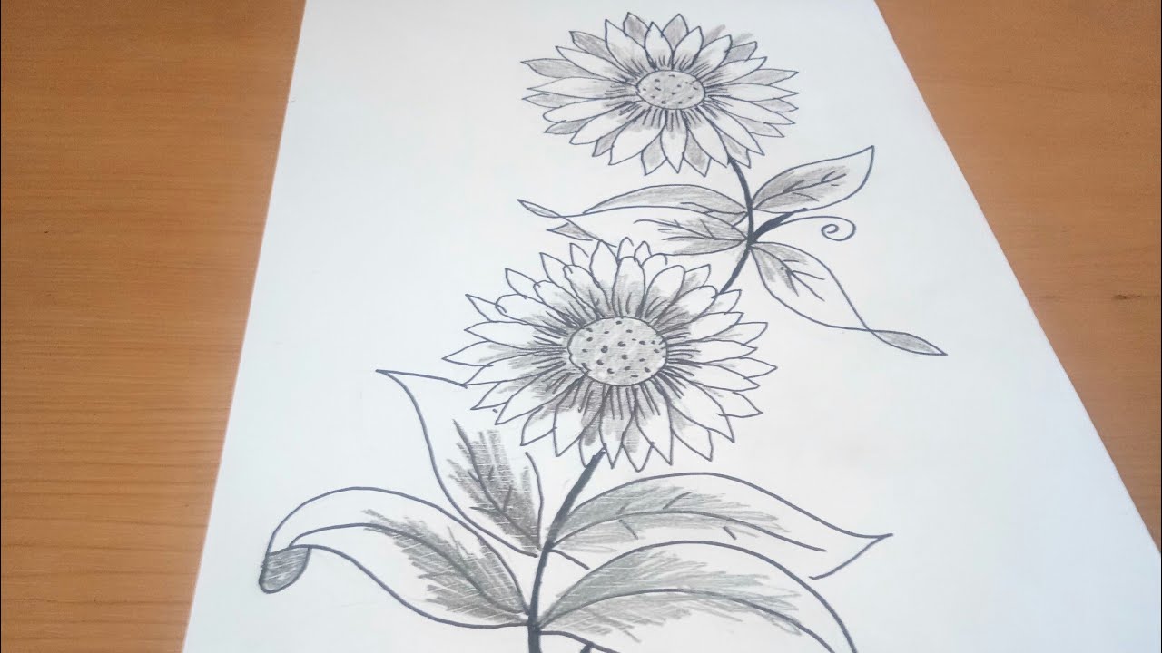Detail Gambar Sketsa Bunga Batik Nomer 14
