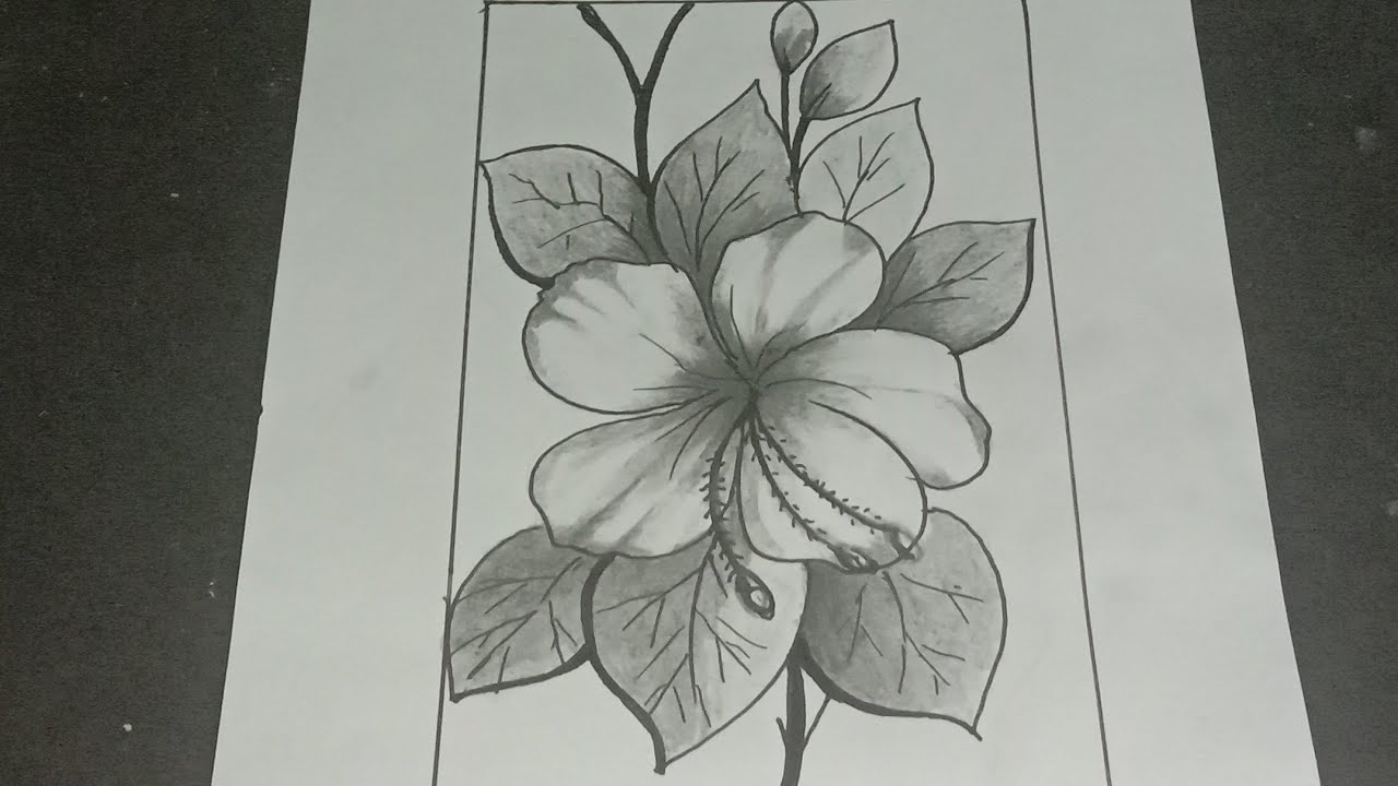Detail Gambar Sketsa Bunga Batik Nomer 34