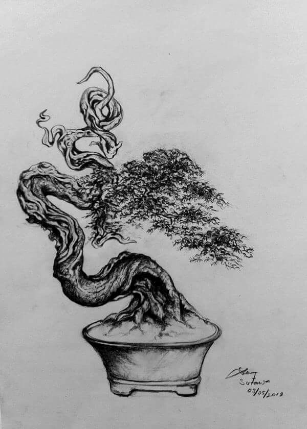 Detail Gambar Sketsa Bunga Bonsai Nomer 2