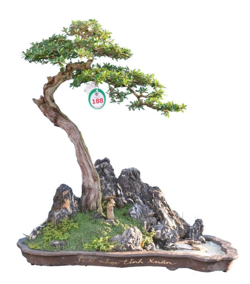 Detail Gambar Sketsa Bunga Bonsai Nomer 19