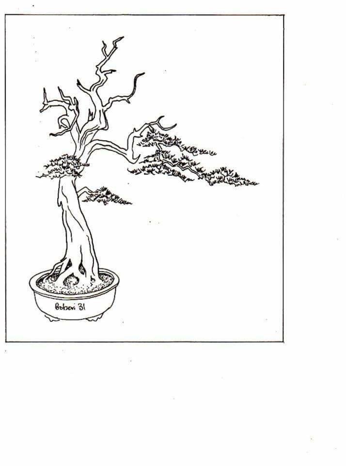 Detail Gambar Sketsa Bunga Bonsai Nomer 25