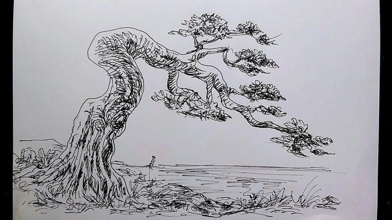 Detail Gambar Sketsa Bunga Bonsai Nomer 26