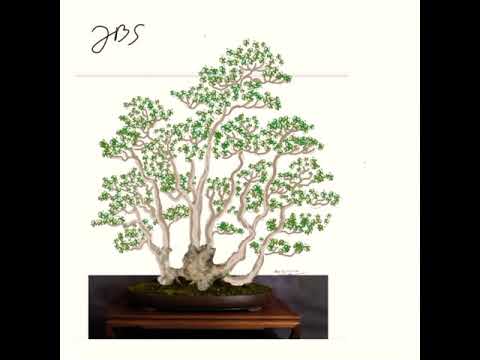 Detail Gambar Sketsa Bunga Bonsai Nomer 50