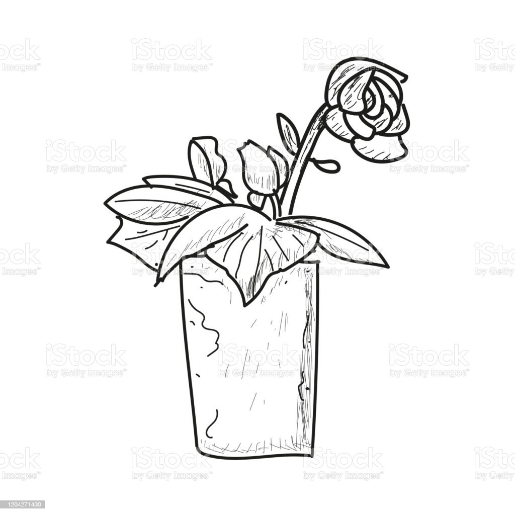 Detail Gambar Sketsa Bunga Dalam Vas Nomer 13