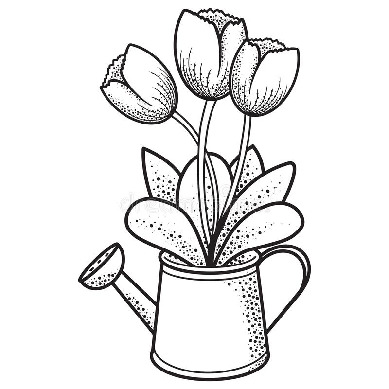 Detail Gambar Sketsa Bunga Dan Vasnya Nomer 11