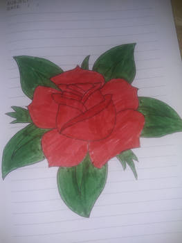 Detail Gambar Sketsa Bunga Dan Vasnya Nomer 15