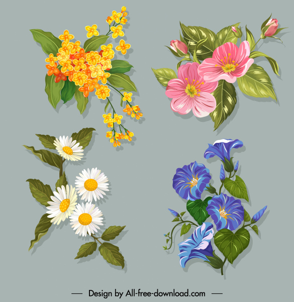 Detail Gambar Sketsa Bunga Dan Warnanya Nomer 14