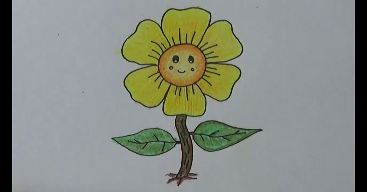 Detail Gambar Sketsa Bunga Dan Warnanya Nomer 40