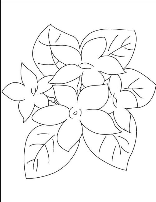 Detail Gambar Sketsa Bunga Dari Kertas Nomer 4