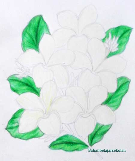 Detail Gambar Sketsa Bunga Dari Pensil Nomer 39