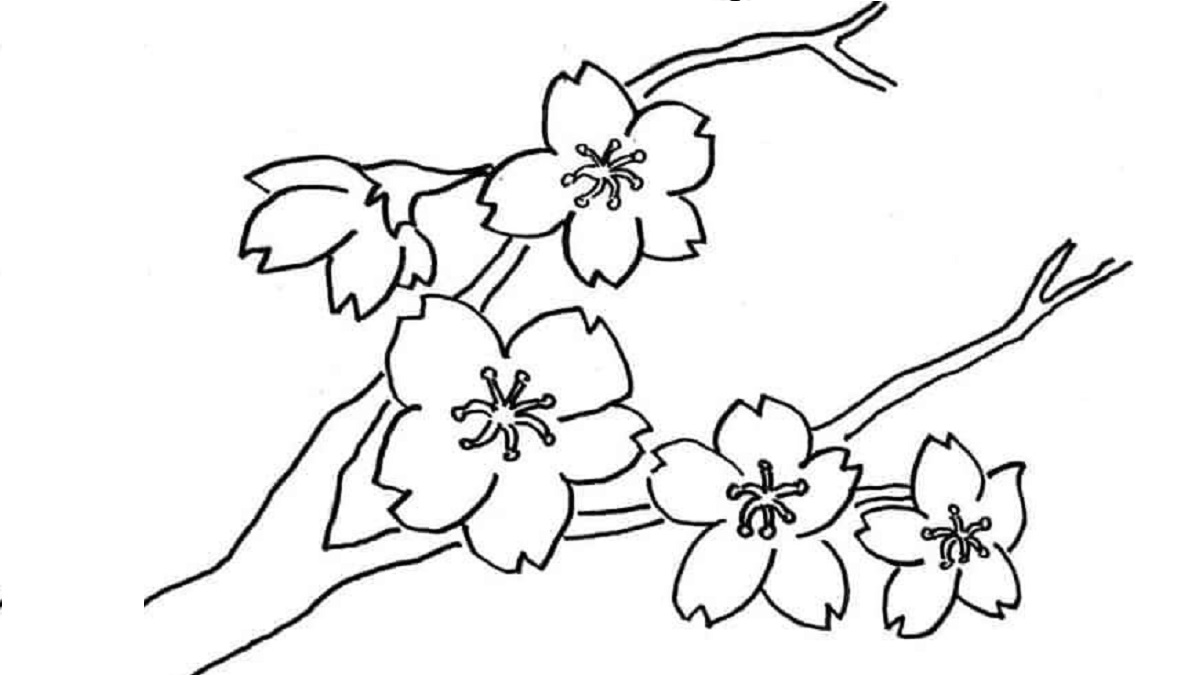 Detail Gambar Sketsa Bunga Hd Nomer 26